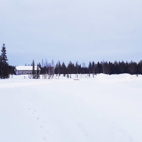 Laponia - kraina śniegu